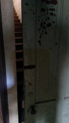 sixpenceee:  This person was exploring an old house, when he came across this on the stairs. 