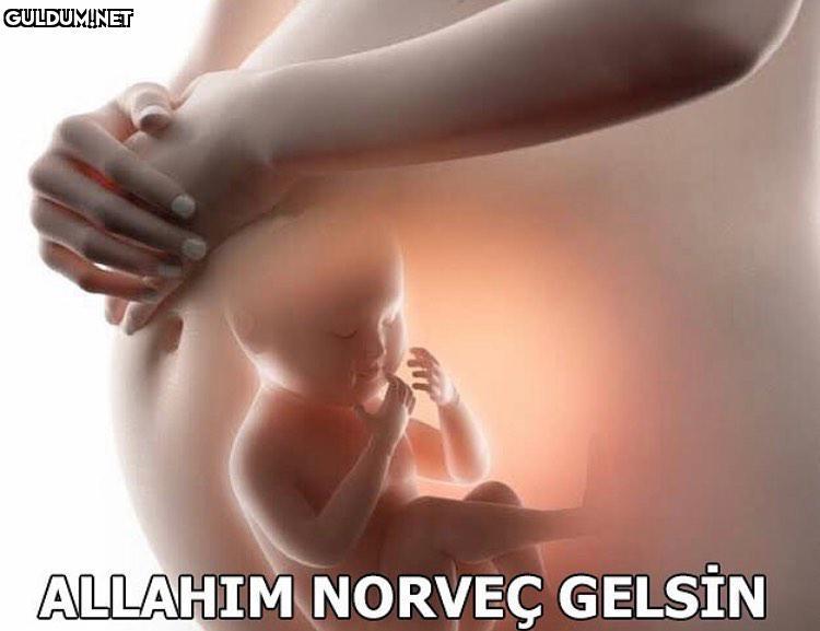 ALLAHIM NORVEÇ GELSİN   Kaynak