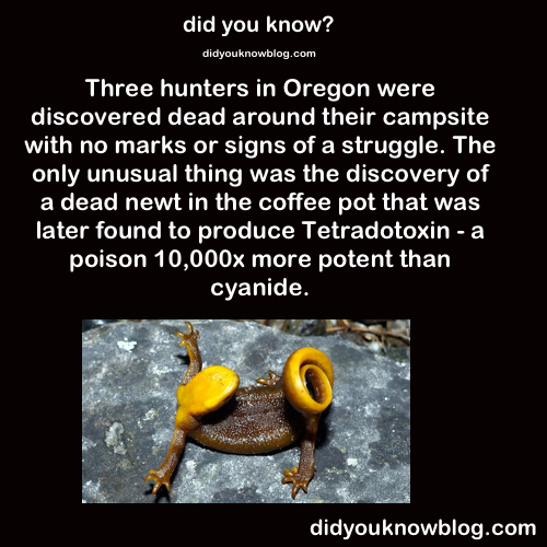 did-you-kno:  Source