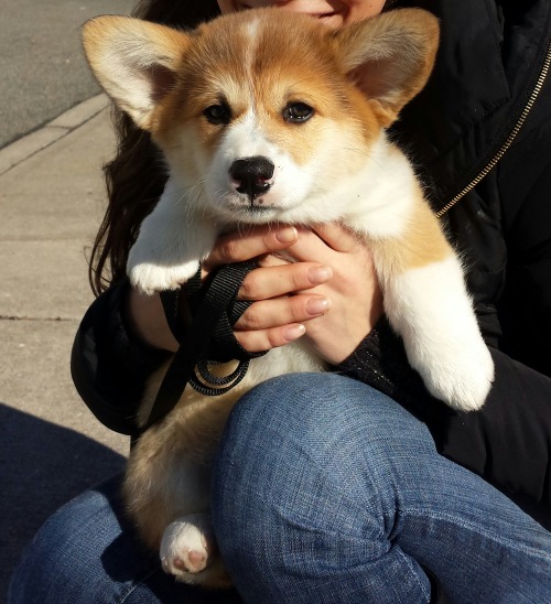 Look At This Little Nugget On His First Day Home! #ThrowbackThursday