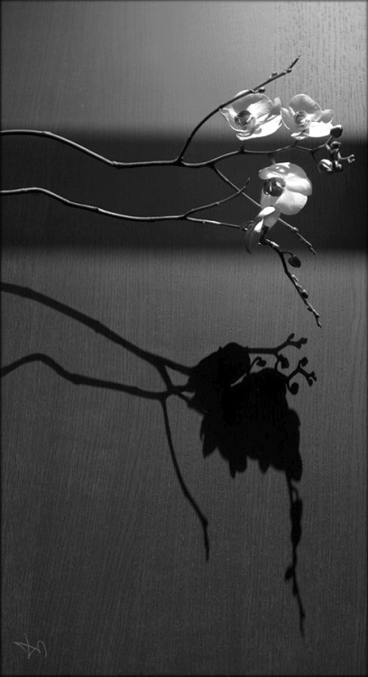 artizan3: haiku_by_nasht