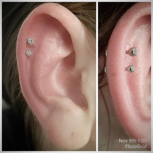 Fresh double #helix piercing #Swarovski CZ titanium jewelry #APP #appmember #safepiercing #tattoocha