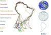 What does South America look like? South America in 10 different map projections.