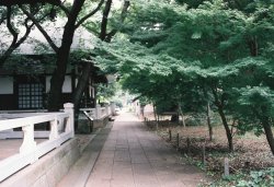 hisafoto:  いしだたみ on Flickr. Kuhonbutsu, Tokyo Taken with Rollei35 Tessar SG. FUJI SP400 Jul.2,2014 このカメラのカッサカサな写りが好きです。