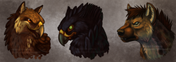 reskha:  Drew these three on stream today, and they’re three of my ladies: Faide the red-tailed hawk gryph, Stormwing the black Harris Hawk one, and Cutlass the hyena. I’m not too satisfied with her compared to the gryphs, I think I followed my ref