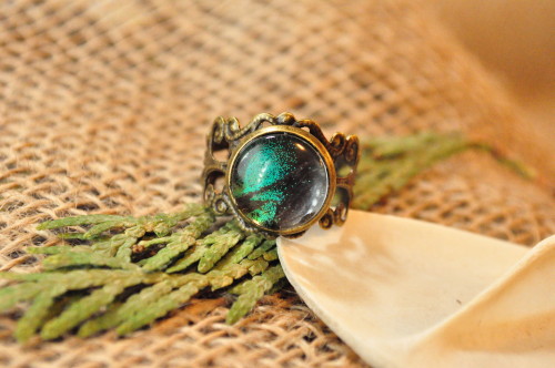uponsorrowfuleyes:Just listed - cruelty free butterfly wing adjustable rings!These are selling alrea