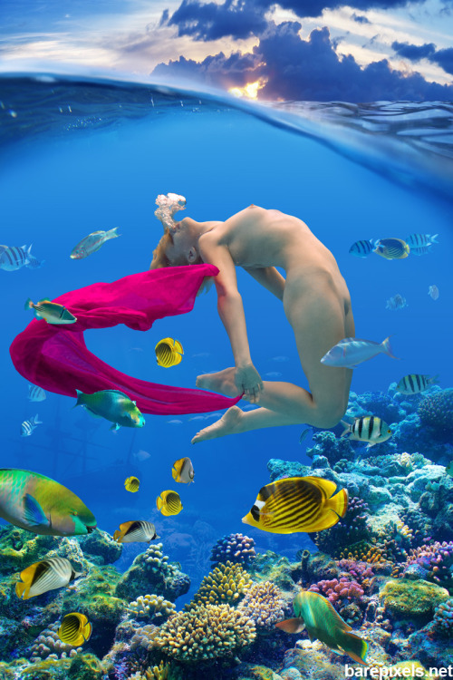 barepixels:“Tropicana”Team members:Underwater Photography: R. Scott AndersonModel: Taylo