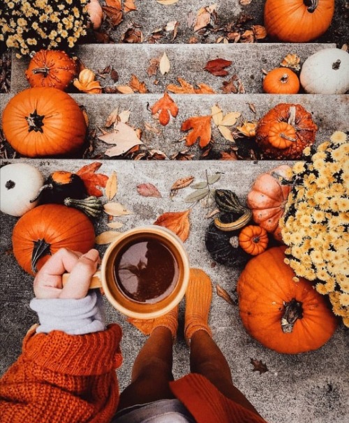 pumpkin-spice-lattes:Cozy Autumn Blog