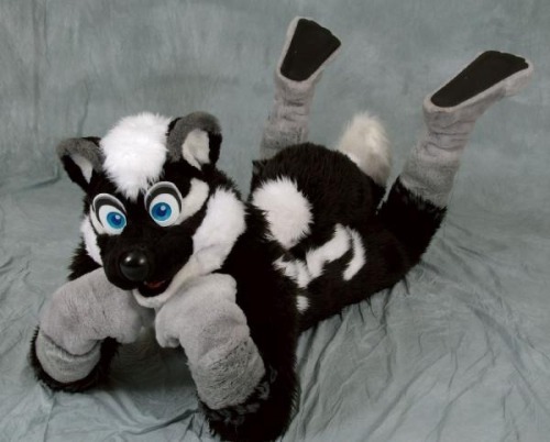 Cute Skunk~