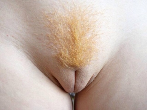 red-bush:  myfairladies:  If you like redheads, freckles and pale ladies follow me HERE :)  Mmmmmm 