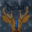 buckyburnett