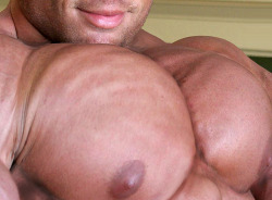 italian-muscles:  Thanks Hardtrainer01.  