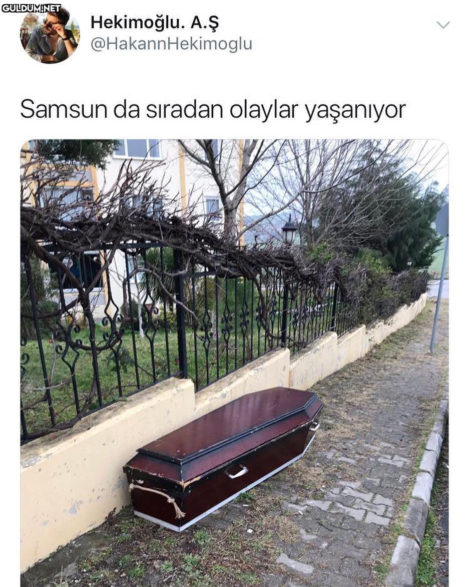 Hekimoğlu....