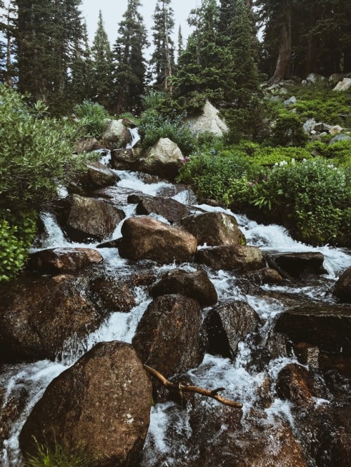 forloveandrunning:Forever trying to capture the beauty of running water