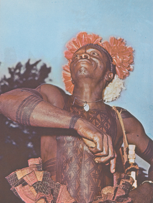 vintagecongo: Mangbetu man, Northern Congo