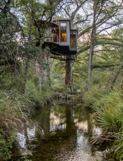 utwo:  Yoki Treehouse© smiling forest