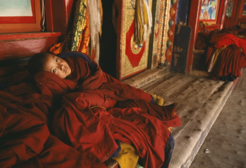 Amdo, Tibet Kazuyoshi Nomachi