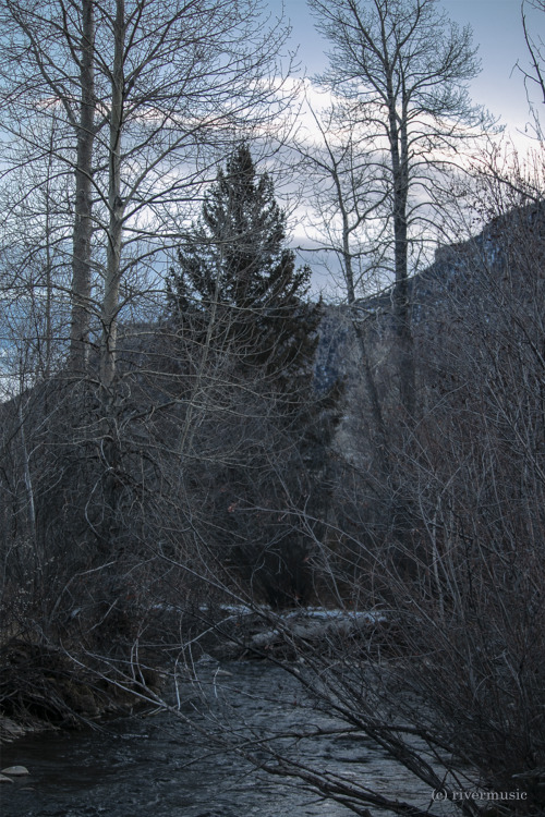 Anticipation of Morning: Shoshone National Forest, Wyoming. © riverwindphotography, January, 20