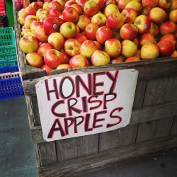 Best. Apples. Ever. 