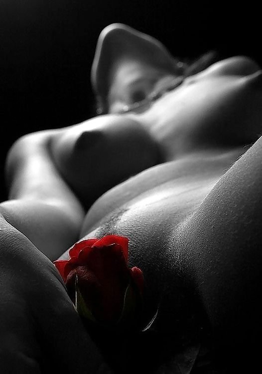 mydarkangel2pls:  chrissfantasyland:  girliegirlyetallwoman:  stageart6:  StageArt6