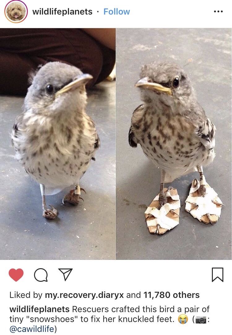 lovelydeck:  greglestrade: Interesting that I’m crying  Her shoe just right for