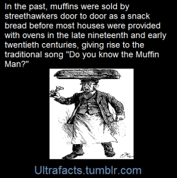 ultrafacts:  The rhyme is first recorded in a British manuscript in the 1800′s  preserved in the Bodleian Library with lyrics very similar to those used today:Do you know the muffin man?The muffin man, the muffin man.Do you know the muffin manWho lives