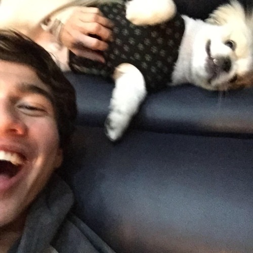 they have a tour dog