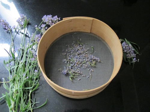 animalwelfarists: How to grow and make your own tea By Tom Oder If growing your own food isn&rs