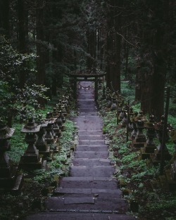 takashiyasui:Kamishikimi Kumano-imasu Jinja