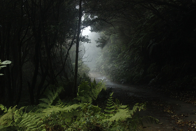 natureac:  This blog will make you feel at peace 