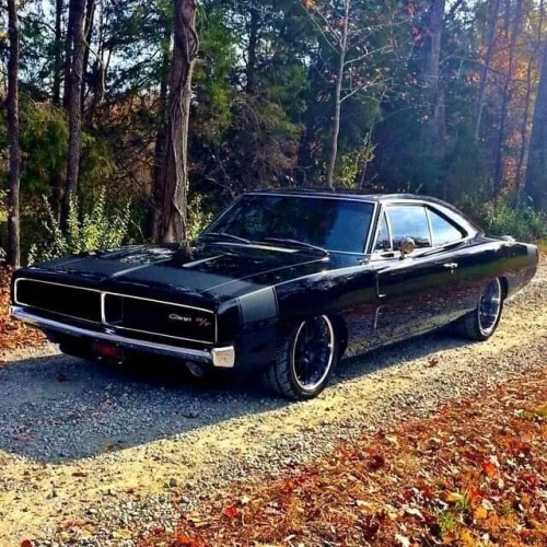 jacdurac:1969 Charger