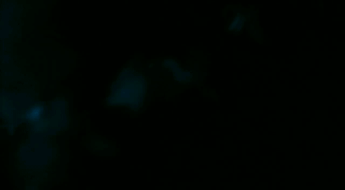 mirayamana-deactivated20171014:  Robb Bank$ 