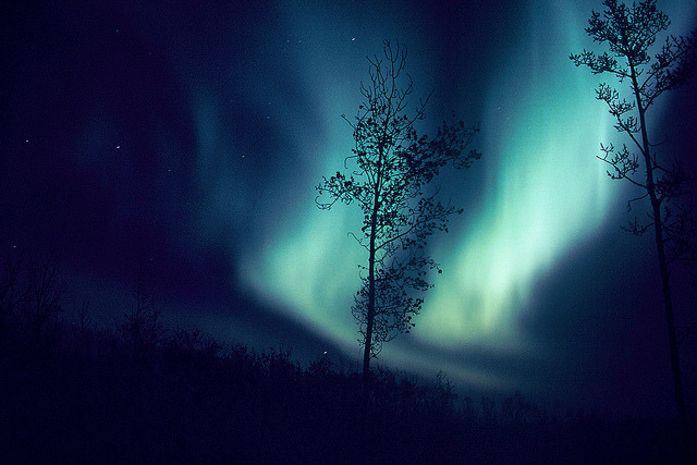 nevver:  Magnetic North