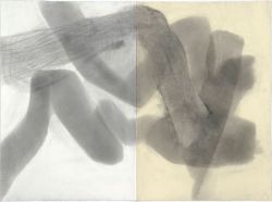 vjeranski:  Ruth HardingerConvergence 45, 200976.5 x 25.5 inchesgraphite on pape 