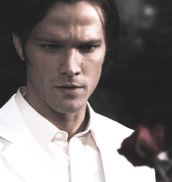 luciferstark:  spn meme: twenty episodes - [the end].