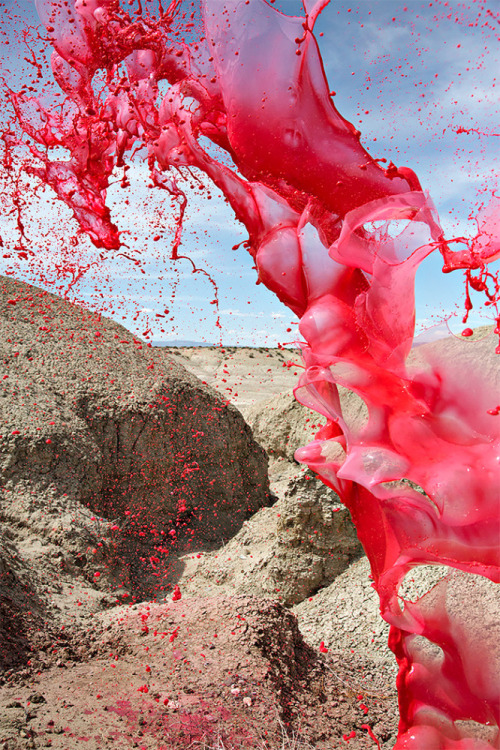 asylum-art-2:Colorful Liquid Splashes by Floto+Warner Studio“Colourant” is an impressive series by c