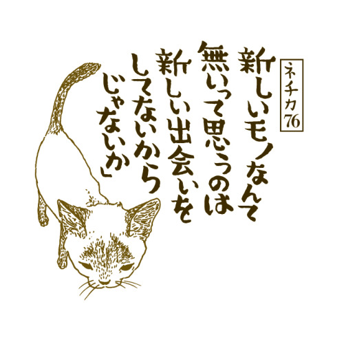 itsushi:  ネチカ　〜野良学的秩序によって証明された〜「ネチカ」はてブ日刊連載の第11週目。ベスト3で御座います。