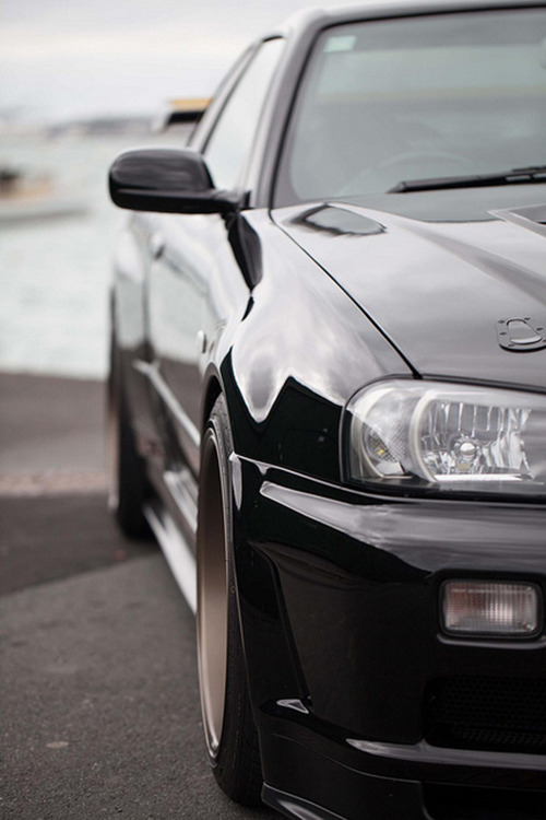 cumpleti0n:  IMG_8861 (by Ecozile)   x