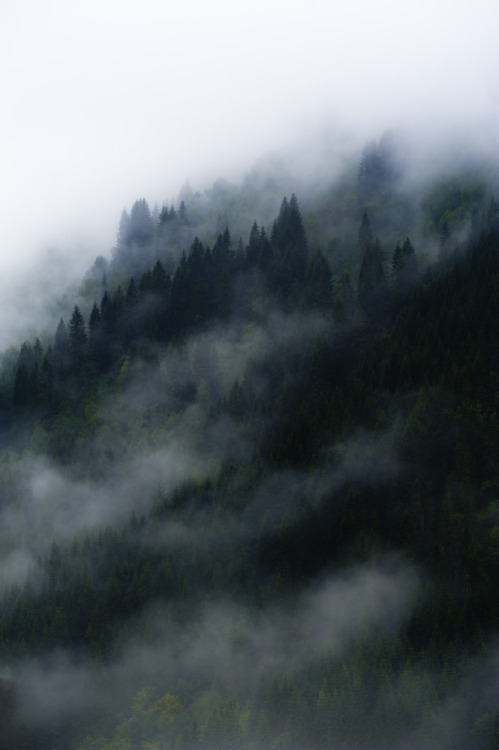 brutalgeneration:  Fjaerland__115.jpg (by jackie weisberg) 