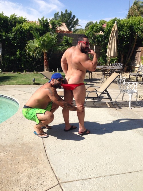 meatmellons:  Pool Time in Palm Springs with my buddies Leo & Manny