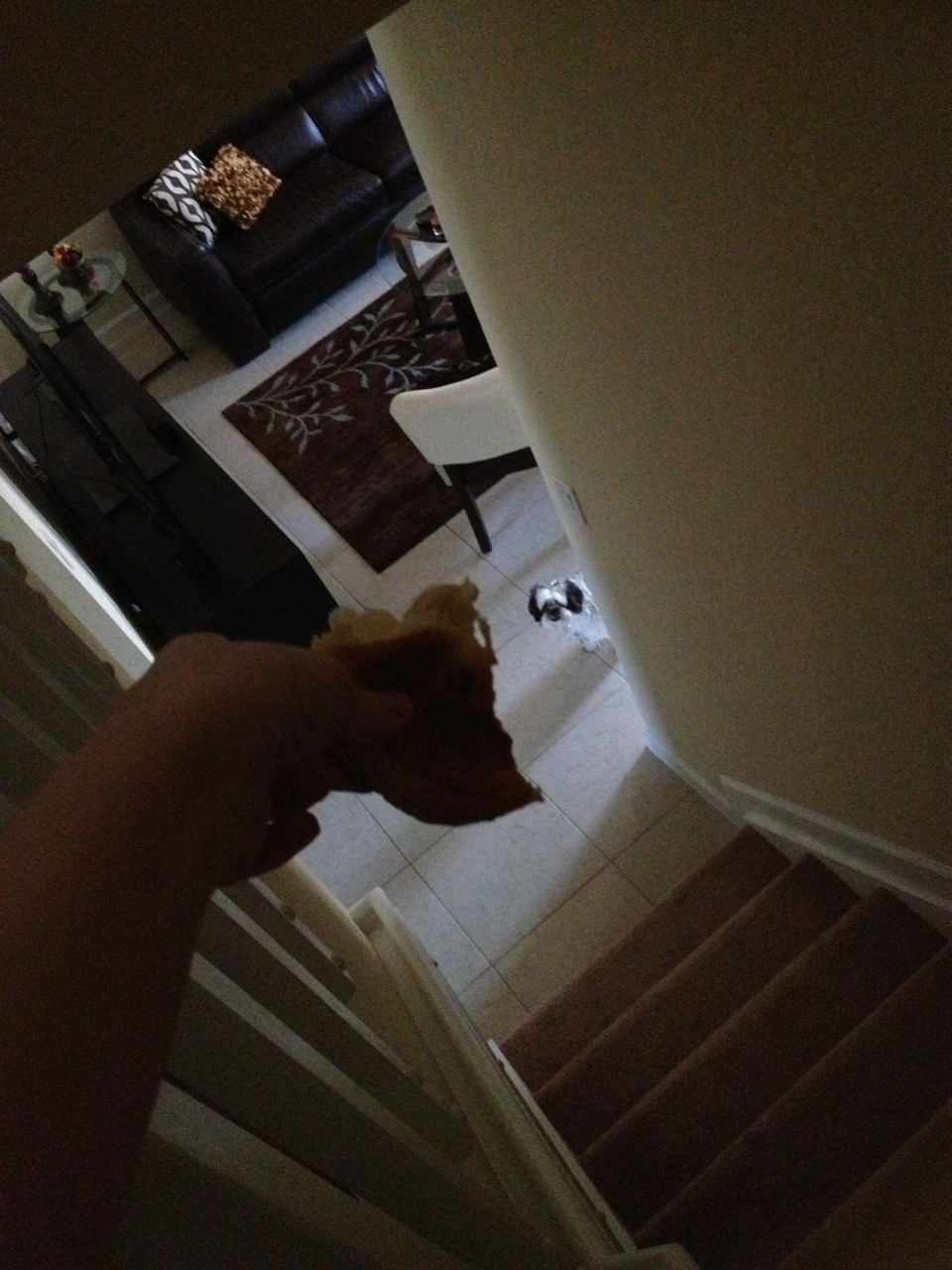 aunteeblazer:  april fools u get nothing  
