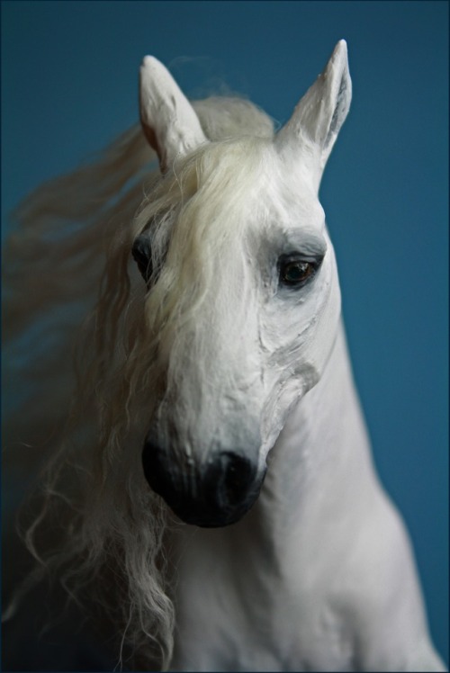 Equine Sculptures by Quequinox Art, 2011-2016