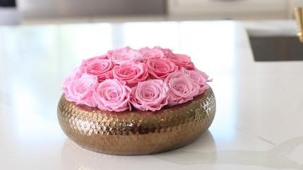 Preserved Roses On Tumblr Preserved Roses On Tumblr