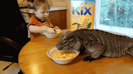 no-giraffes:hope u enjoyed ur breakfast @lizardwinemom
