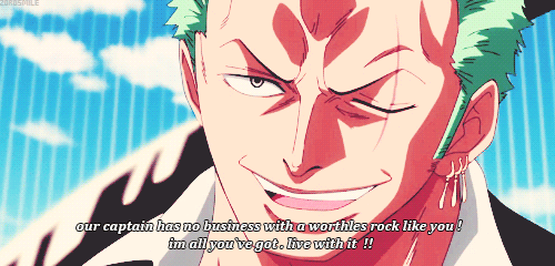 zorosmile:  Zoro vs pica 