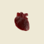 lovedscape