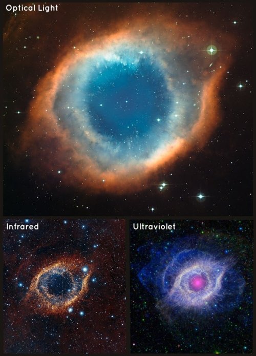 Sex scienceyoucanlove:  Astronomy Picture of pictures