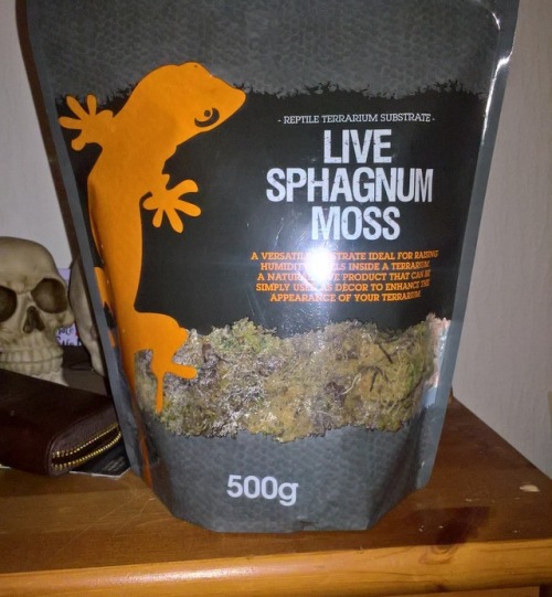 snoodledoodles: tailsandco: stalkmysnake: Picked up some moss for Loki- is it meant to smell this ba