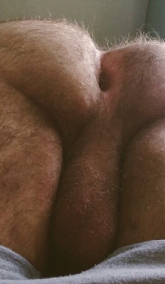 bearlywill.tumblr.com post 165455868061