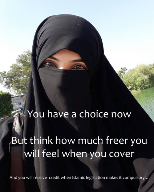 juliehijab123: moi672: nikkisissyhijabi:You know this is the future you want So true yes you are so